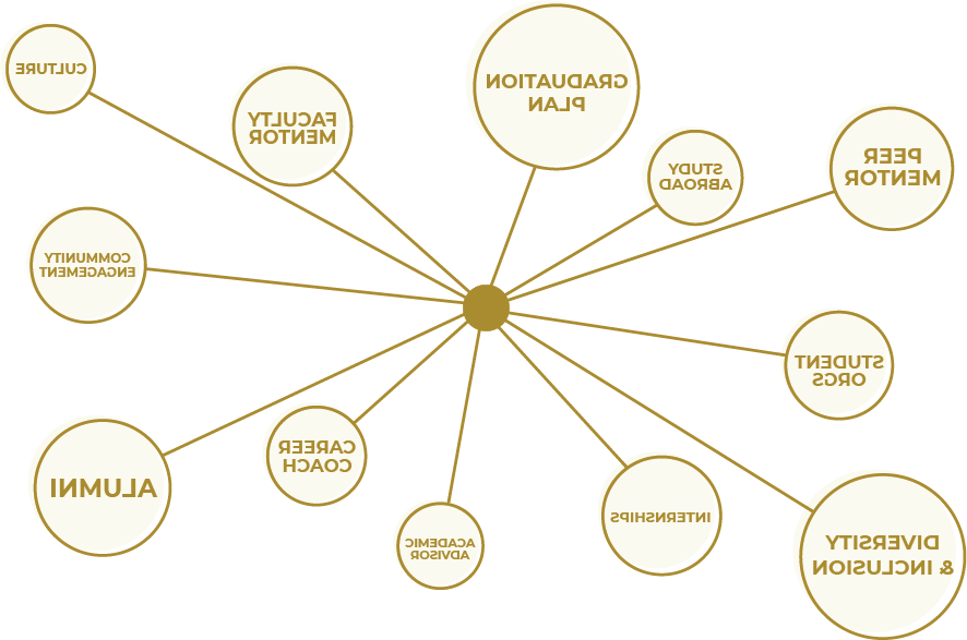 Graphic displaying the following text: Graduation plan, 同行的导师, 出国留学, 学生组织, 多样性和包容性, 实习, 学术顾问, 职业教练, alumni, 社区参与, 文化, 教师的导师